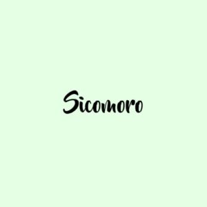 Funda de corcho by Sicomoro ha sido añadido a tu lista de deseos
